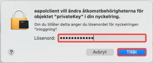 Skriv in lösenord