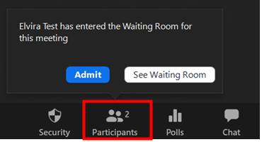 Participants Zoom