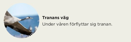 Hur föreläsare visas på A4-bladet.