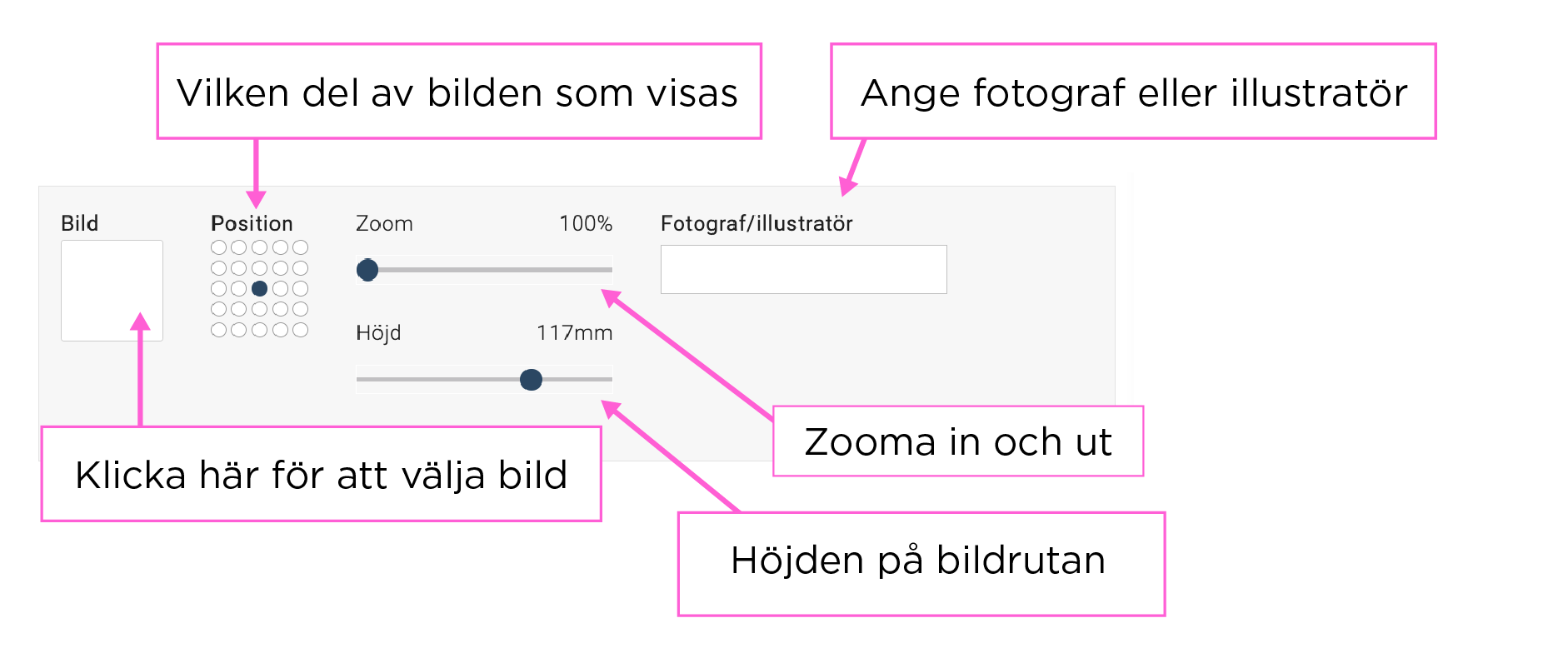 Bild på hur formuläret för bild ser ut i mallverktyget.