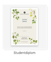 Exempel på studentdiplom