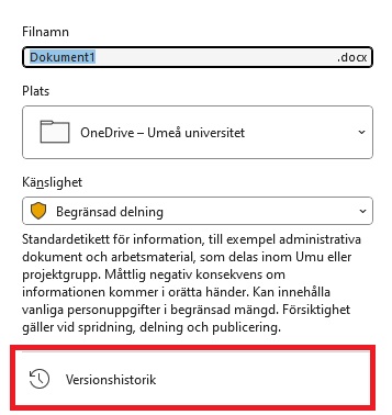 Bild som visar hur du hittar funktionen Versionshistorik