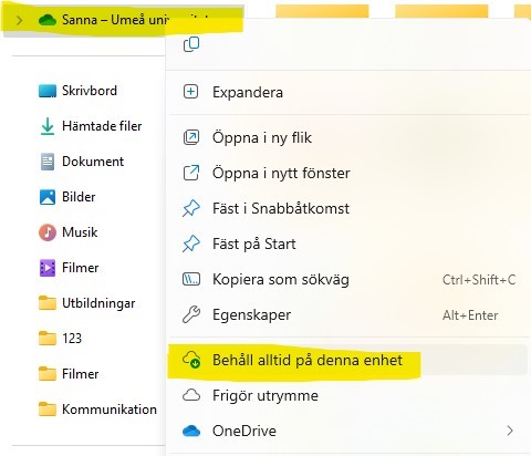Image showing how to download all your files